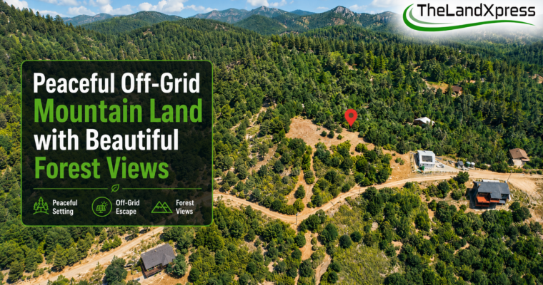 Peaceful Off-Grid Mountain Land with Beautiful Forest Views