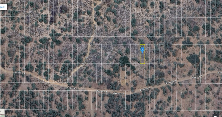 2,500 sq ft - Vacant Land for Sale in Big Bear Lake area, Surrounded by Trees, Gorgeous views, Hike! 2,500 sq ft - Vacant Land for Sale in Big Bear Lake area, Surrounded by Trees, Gorgeous views, Hike!